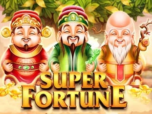 Super Fortune game cover